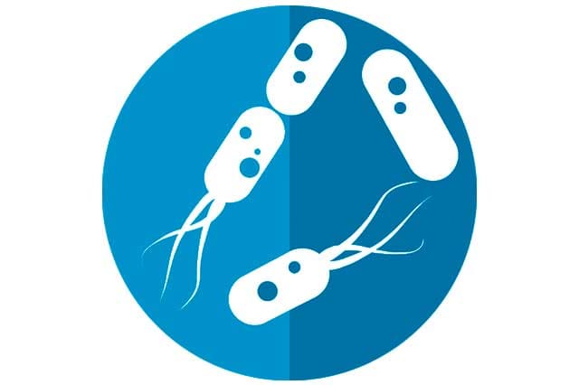 macrobiota